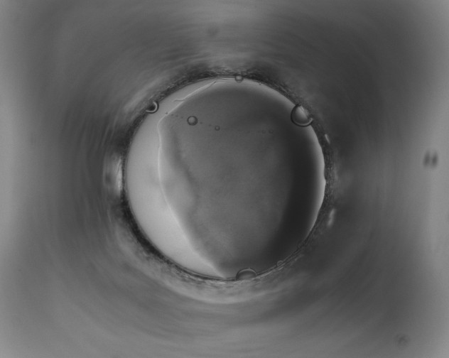 X0000112040027200908031527