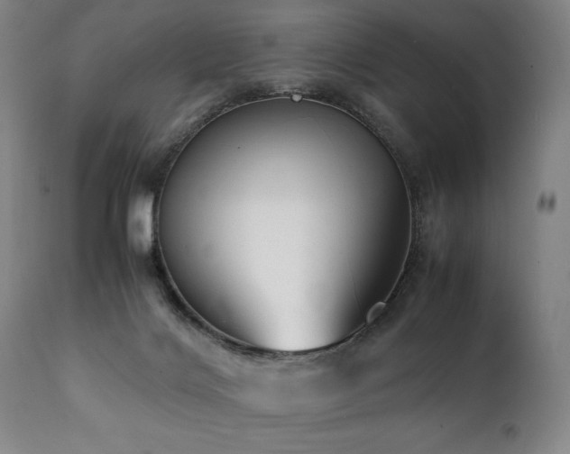 X0000112040028200908031527