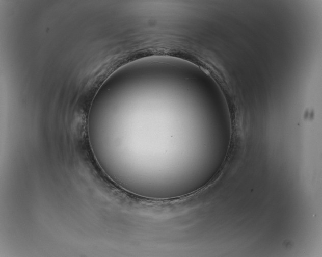 X0000112040029200908031527