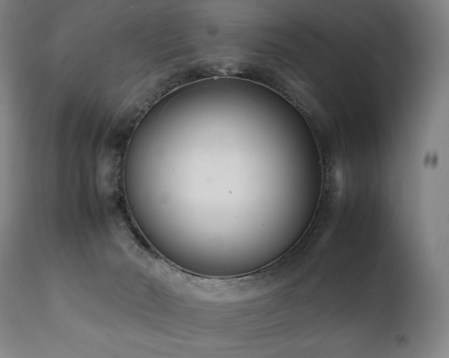X0000112040030200908031527