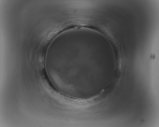 X0000112040031200908031527