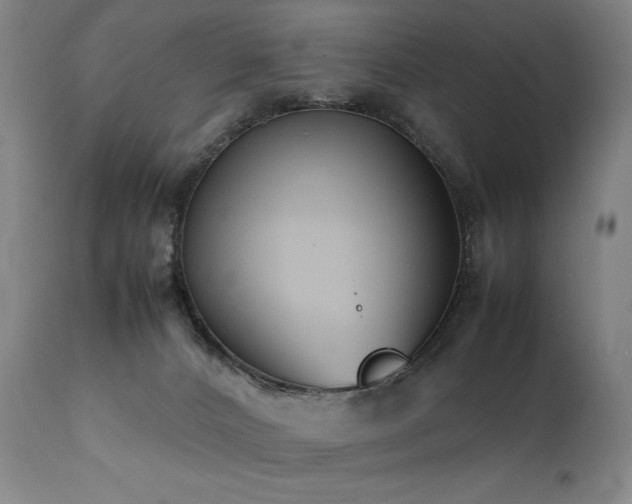 X0000112040032200908031527
