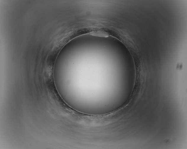 X0000112040033200908031527