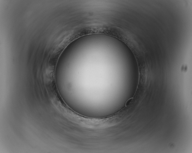 X0000112040034200908031527