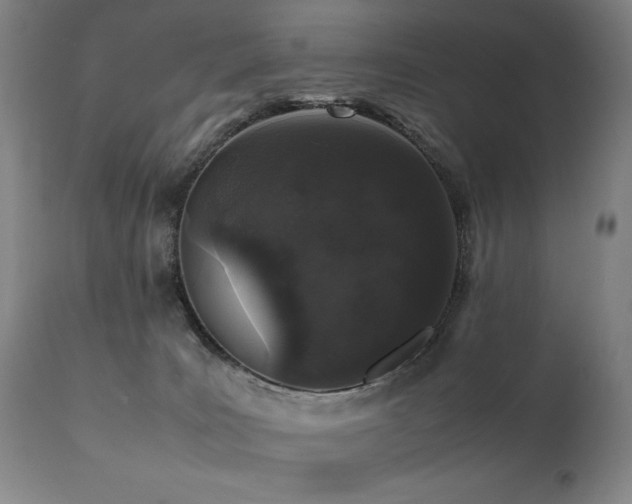 X0000112040035200908031527