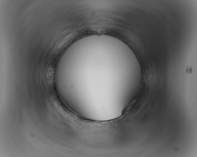 X0000112040036200908031527