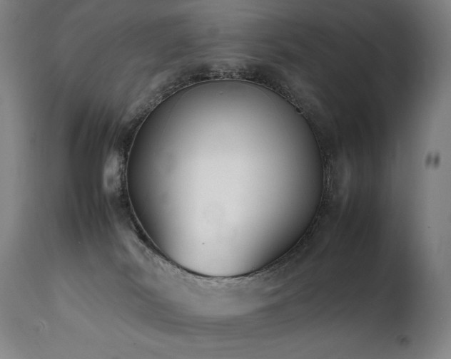 X0000112040038200908031527