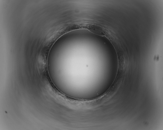 X0000112040040200908031527