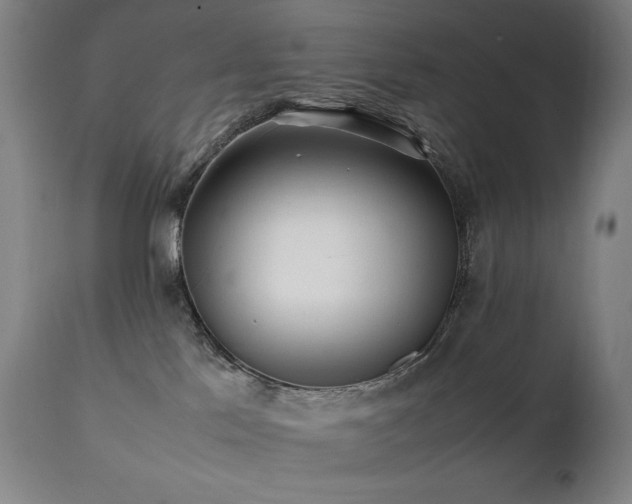 X0000112040041200908031527