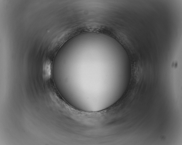 X0000112040042200908031527