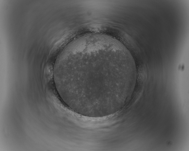 X0000112040043200908031527