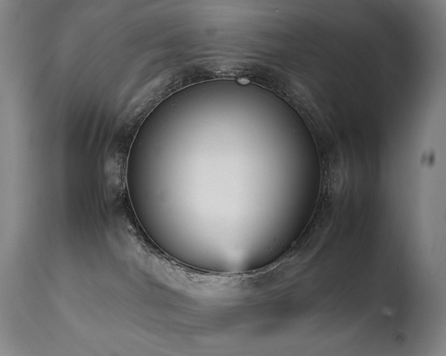 X0000112040044200908031527