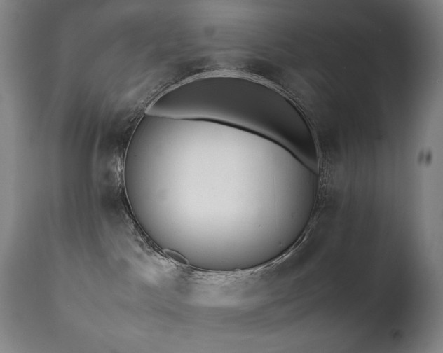 X0000112040045200908031527