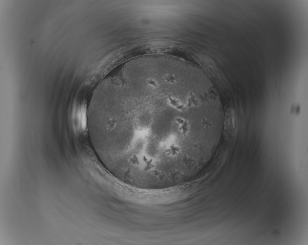 X0000112040046200908031527