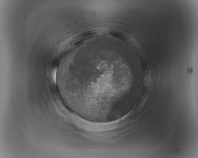 X0000112040047200908031527