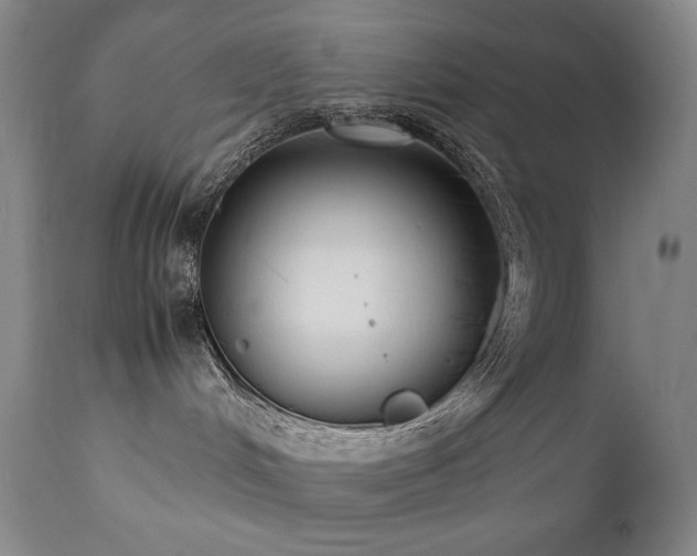 X0000112040048200908031527