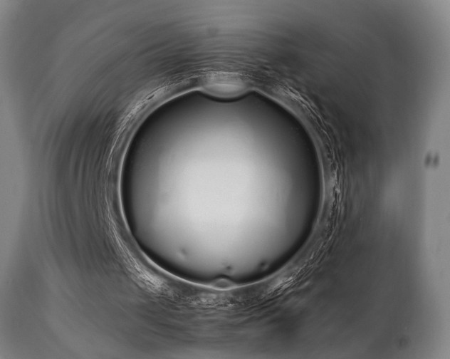 X0000112040049200908031526