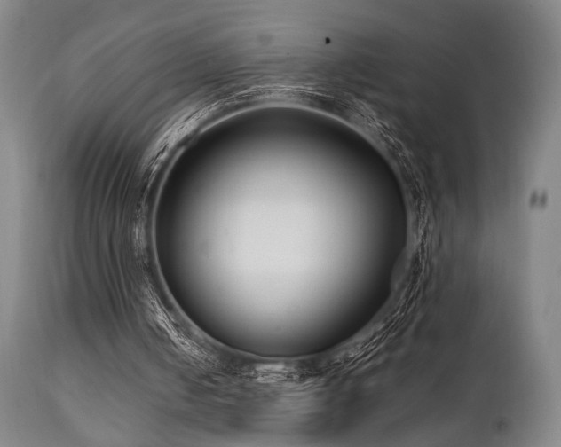 X0000112040050200908031526