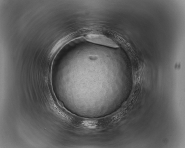 X0000112040051200908031526