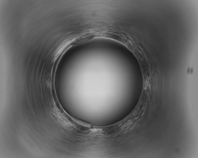 X0000112040052200908031526