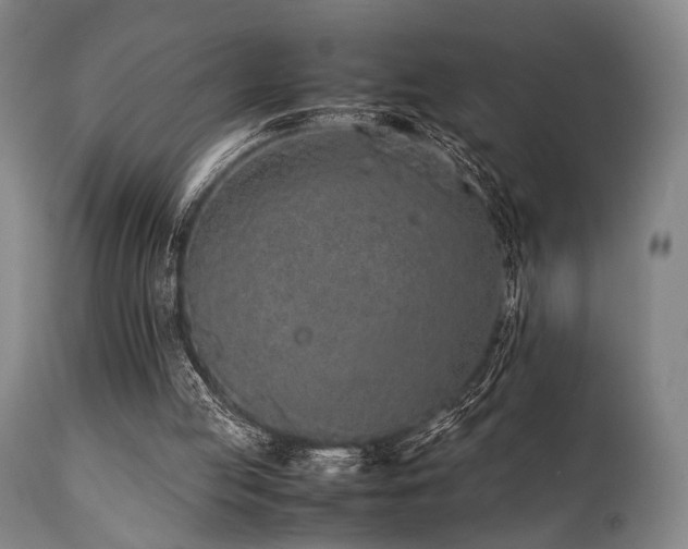 X0000112040053200908031526