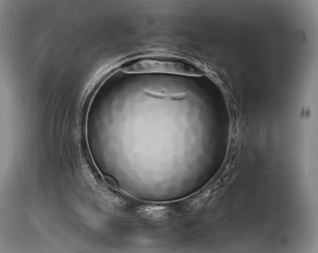 X0000112040055200908031526