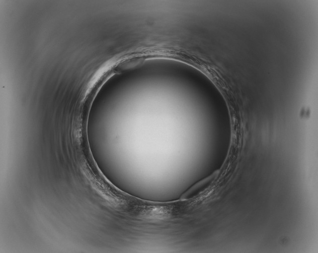 X0000112040056200908031526