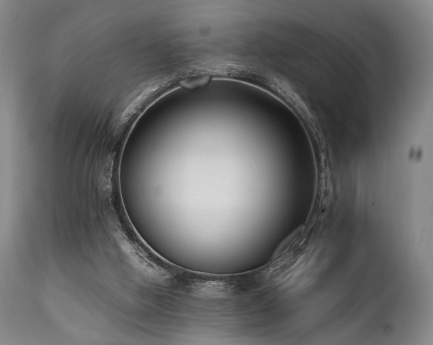 X0000112040058200908031526