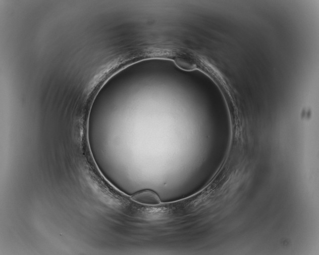 X0000112040059200908031526
