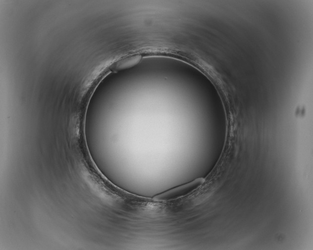 X0000112040060200908031526