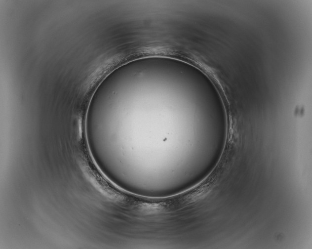 X0000112040061200908031526
