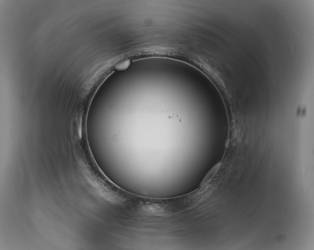 X0000112040062200908031526