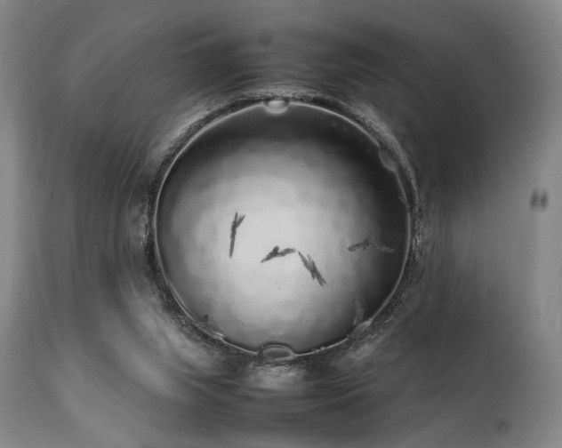 X0000112040063200908031526