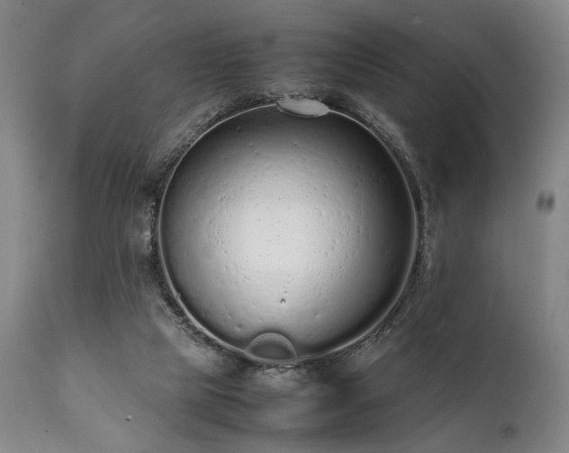X0000112040065200908031527