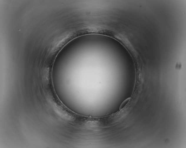 X0000112040066200908031527