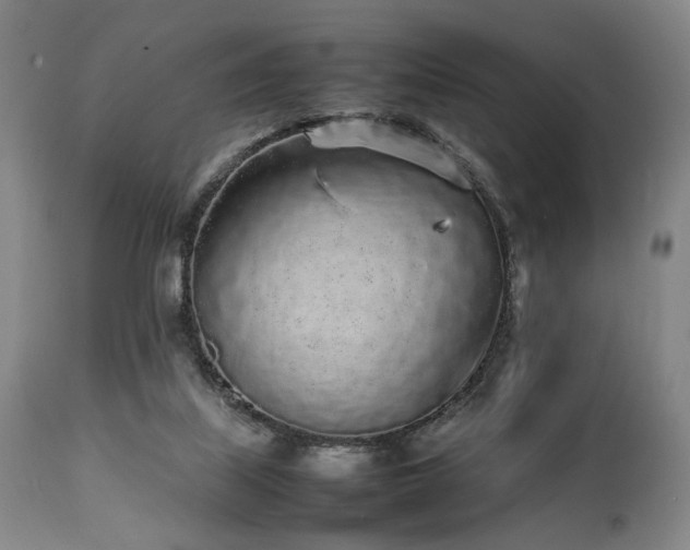 X0000112040067200908031527