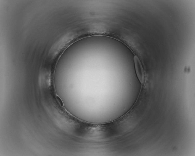 X0000112040068200908031527