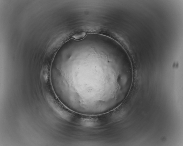 X0000112040069200908031527