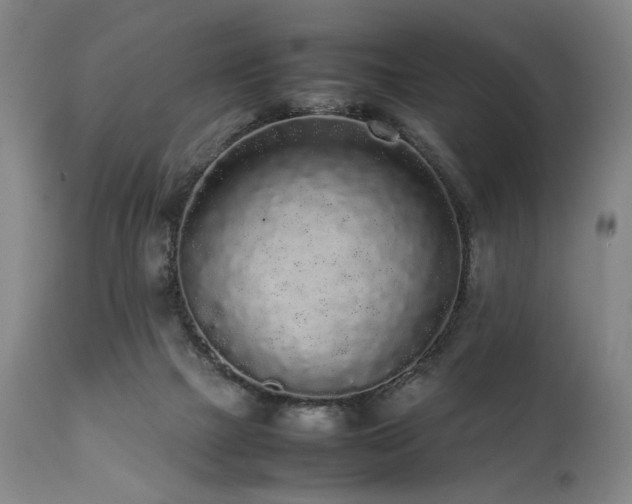 X0000112040073200908031527