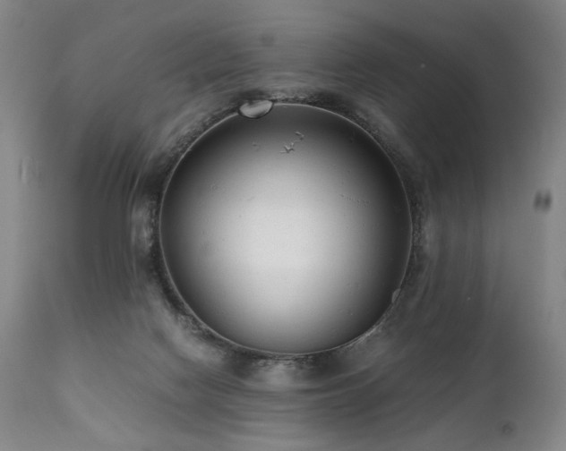 X0000112040074200908031527