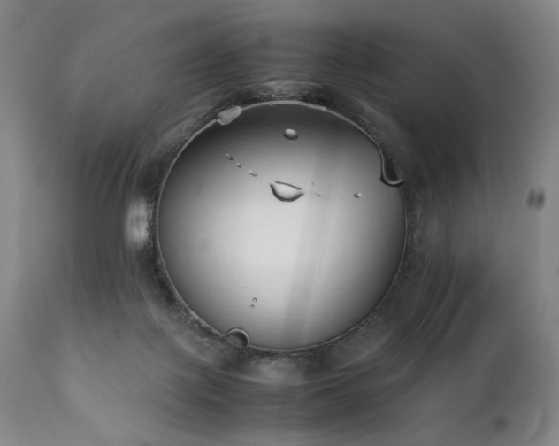 X0000112040075200908031527