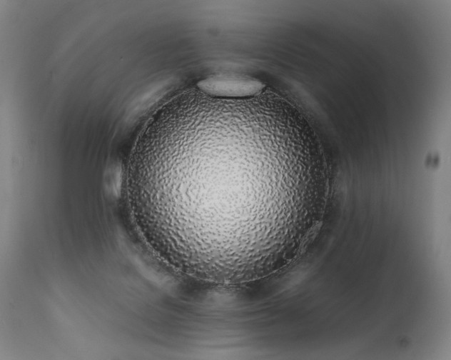 X0000112040076200908031527