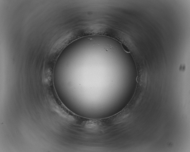 X0000112040077200908031527