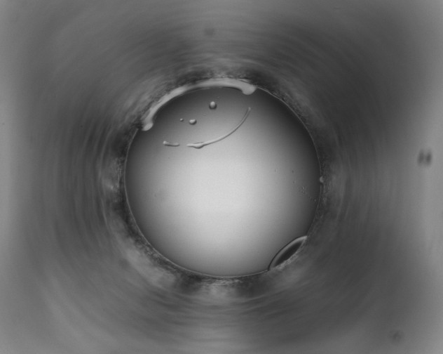 X0000112040078200908031527