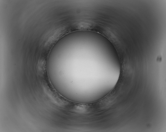 X0000112040079200908031527