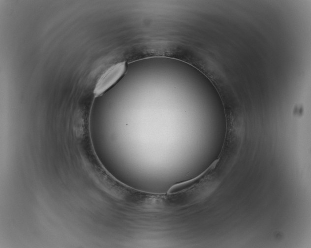 X0000112040080200908031527