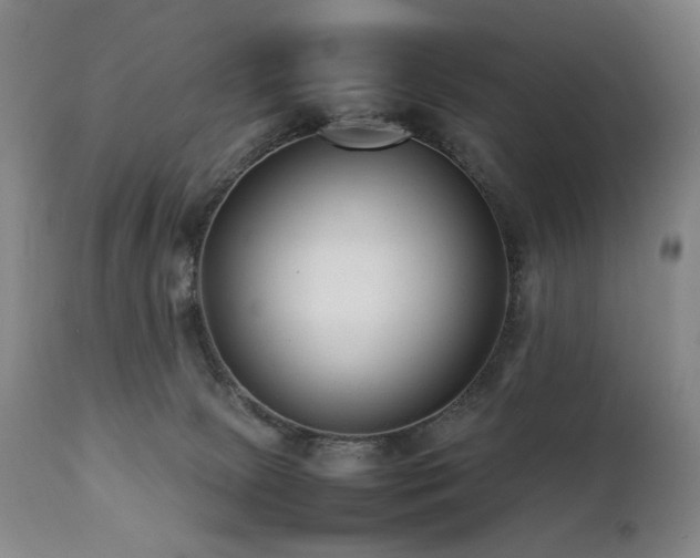 X0000112040081200908031527