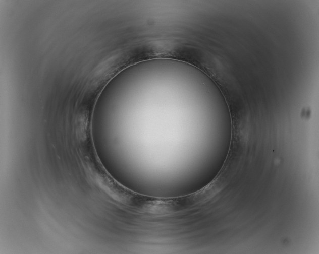 X0000112040082200908031527