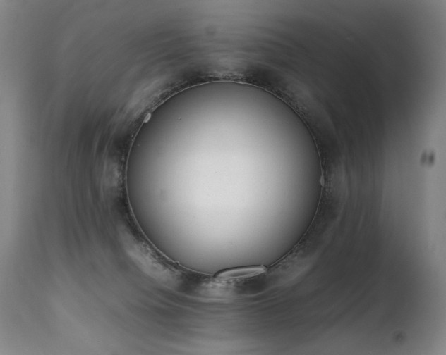 X0000112040084200908031527