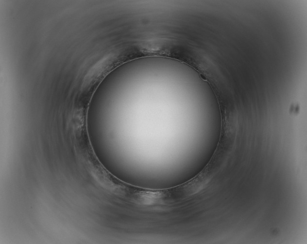 X0000112040085200908031527